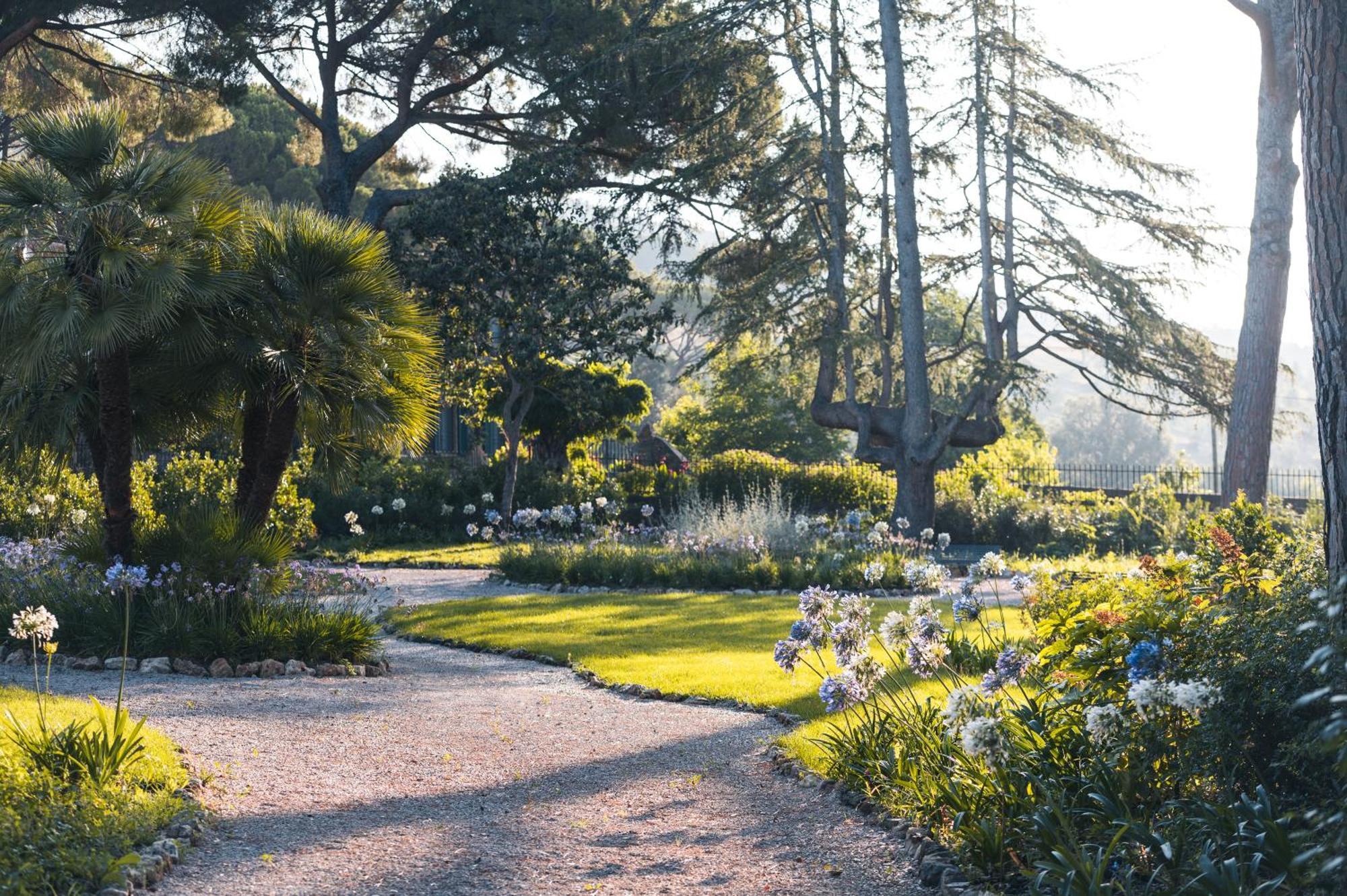 Tenuta Il Cicalino Масса-Мариттіма Екстер'єр фото