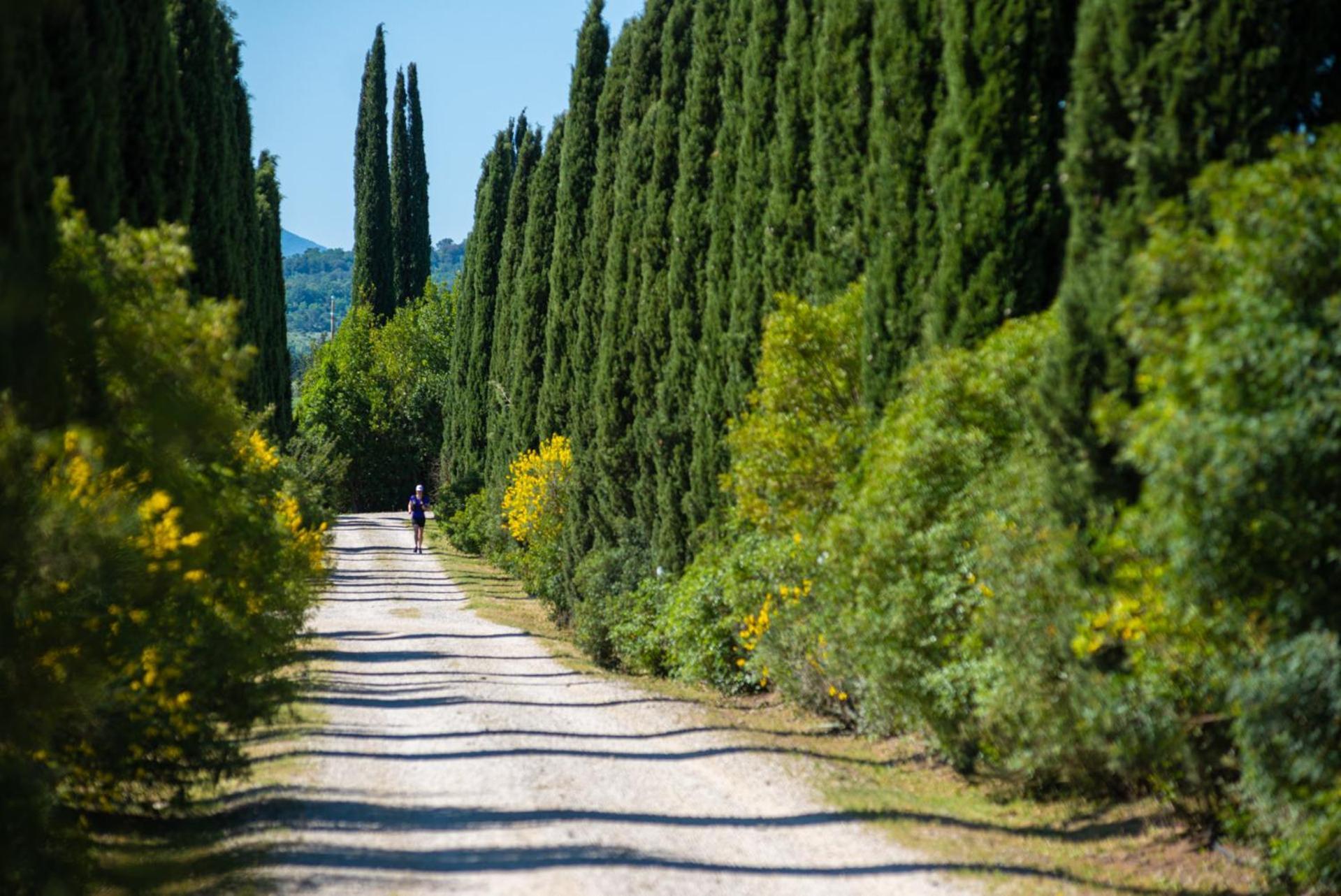 Tenuta Il Cicalino Масса-Мариттіма Екстер'єр фото